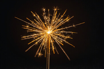 Fototapeta premium sparkler on black background