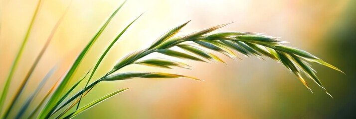 Obraz premium Serene Grass Blade Pastel Backdrop - Symbolizing tranquility, growth, nature, purity, and renewal. A single grass blade stands elegantly against a soft pastel background.
