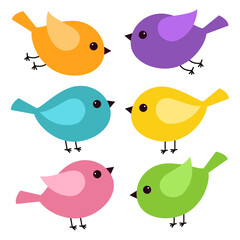 Bird icon set. Different color birds. Cute kawaii cartoon funny baby character. Colorful sticker print. Decoration element. Childish style. Simple flat design. White background. Isolated. Vector