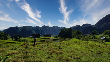 beautiful surroundings of Vinales, Cuba  view of the tobacco fields 