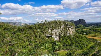 beautiful surroundings of Vinales, Cuba  view of the tobacco fields 