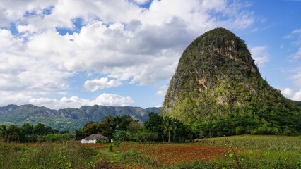 beautiful surroundings of Vinales, Cuba  view of the tobacco fields 