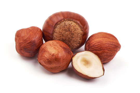 Organic Hazelnuts, isolated on white background. High resolution image.