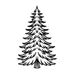 Norway spruce tree isolated on white background. Norway spruce tree Silhouette Vector . christmas tree