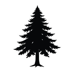 Silhouette of a pine tree douglas spruce