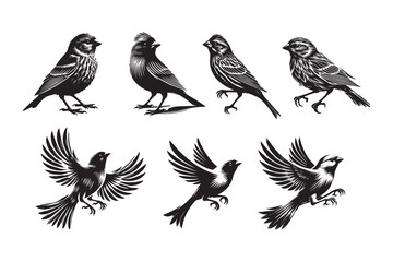 canary flying silhouette vector illustration with a white background