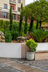 A vibrant garden featuring a variety of plants, modern planters, and comfortable seating creates a peaceful ambiance in an urban environment