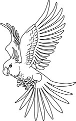 cockatoo line vector illustration isolated on white background