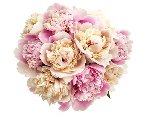 Bouquet of vintage pink and beige peonies, isolated on white, top view, old English floral style.