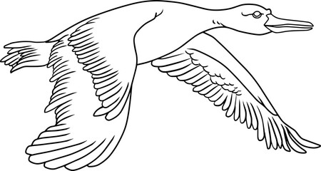 goose line vector illustration isolated on white background