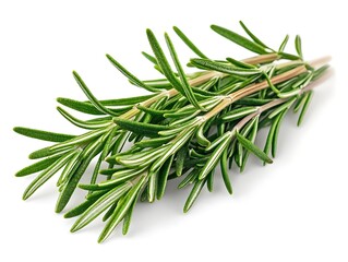 Fototapeta premium Close-up of high-resolution rosemary sprigs on white background, intricate and isolated, professional stock photo.