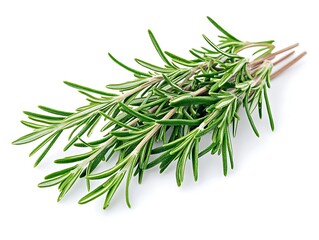 Fototapeta premium Close-up of high-resolution rosemary sprigs on white background, intricate and isolated, professional stock photo.