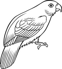 lori bird line vector illustration isolated on white background