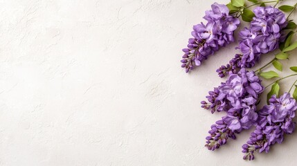 A bunch of purple flowers on a white wall