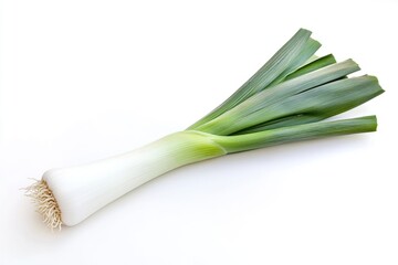 A single fresh leek with a clean white stem and green leafy top, isolated on white