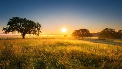 Obraz premium sunset in the field