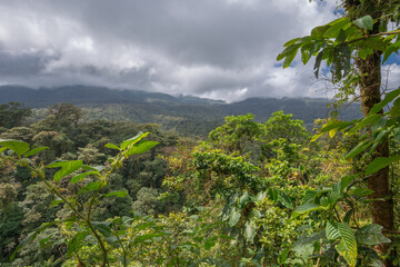 The panoramic view on the Tenorio Volcano National Park - Costa Rica
