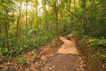 The walking path in the Tenorio Volcano National Park - Costa Rica