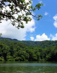 Obraz premium lake and mountains