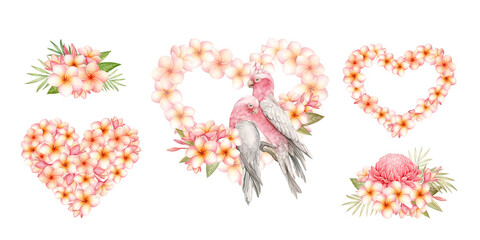 Compositions for Valentine's Day from tropical flowers and birds.