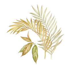 Tropical leaves on a white background.