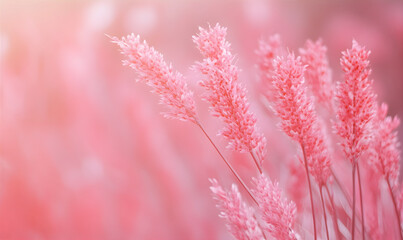 Banner with pink flowers on the soft pink background with circle bokeh. Spring, Valentine's day, Mother's  concept Copy space	