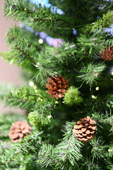 Festive Pinecones adorned on green Evergreen branches, creating a charming atmosphere