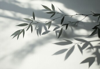 Obraz premium Elegant bamboo leaves create intricate shadows on a light background in a serene indoor environment