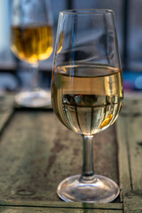 Sherry wine tasting, fino, olorosso, amontillado, cream jerez sherry fortified wine made from palomino white grape in bogedas in Jerez de la Frontera, Cadiz, Andalusia, Spain