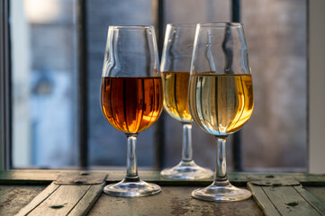 Sherry wine tasting, fino, olorosso, amontillado, cream jerez sherry fortified wine made from palomino white grape in bogedas in Jerez de la Frontera, Cadiz, Andalusia, Spain