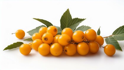 Bright yellow berries on a branch, vibrant and fresh.