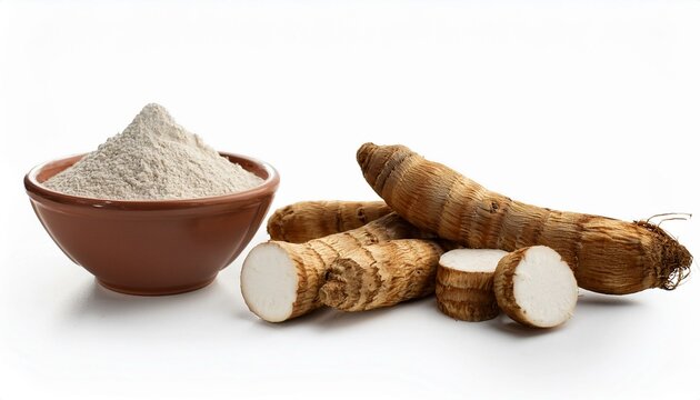 Arrowroot powder and fresh arrowroot tubers.