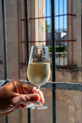 Hand with glass of sherry fino, manzanilla, wine, jerez fortified wine from palomino white grape...