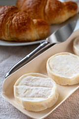 Rocamadour or cabecous soft goat AOC cheese with soft rind produced on farm in Perigord and Quercy on farmers market, departement Lot, France