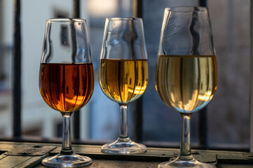 Sherry wine tasting, fino, olorosso, amontillado, cream jerez sherry fortified wine made from palomino white grape in bogedas in Jerez de la Frontera, Cadiz, Andalusia, Spain