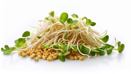 Fresh, vibrant sprouts and seeds offer a healthy and nutritious boost.