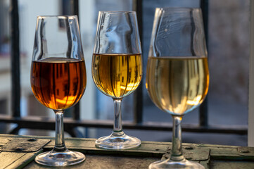 Sherry wine tasting, fino, olorosso, amontillado, cream jerez sherry fortified wine made from palomino white grape in bogedas in Jerez de la Frontera, Cadiz, Andalusia, Spain