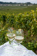 Tasting of grand cru sparkling brut white wine champagne on sunny vineyards of Cote des Blancs near village Cramant and Avize, Champagne, France