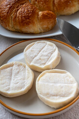 Rocamadour or cabecous soft goat AOC cheese with soft rind produced on farm in Perigord and Quercy on farmers market, departement Lot, France