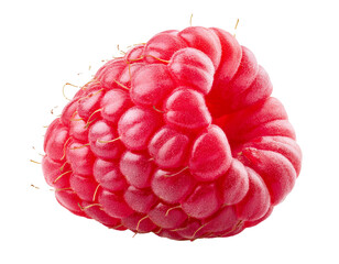 Fresh ripe raspberry isolated on transparent background with clipping path