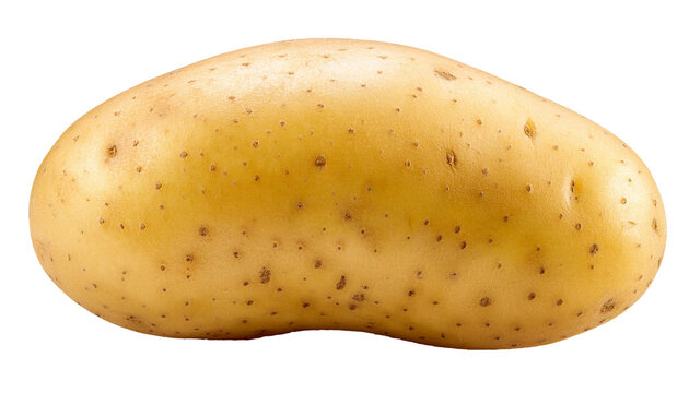 Fresh raw potato vegetable with skin isolated on transparent background