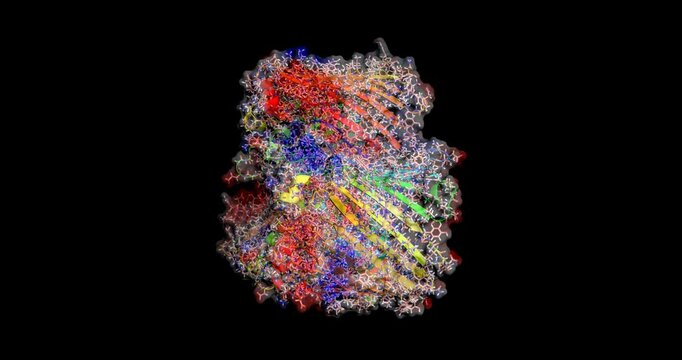  Structure of OmpK36 Porin from Carbapenem-Resistant Klebsiella pneumoniae, 3D Molecule, 4K  