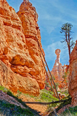 2067 Rugged geology outside Bryce Canyon, Utah