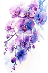 A watercolor painting of a bunch of purple and blue orchids