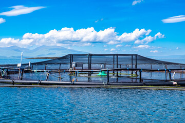 Salmon farm architecture in loch