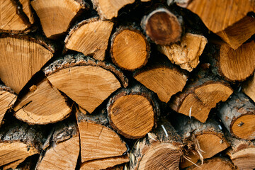 Naklejka premium Close up of wood logs with wood written on them, symbolizing sustainability and natural resources