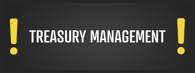 Treasury Management. A blackboard with white text. Illustration with grunge text style.