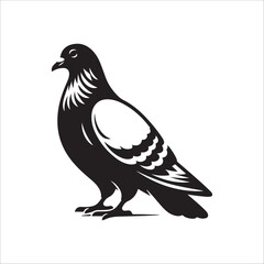 pigeon bird silhouette vector illustration, best pigeon