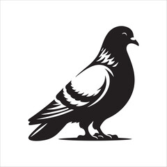pigeon bird silhouette vector illustration, best pigeon