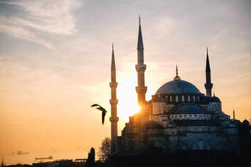Silhouette of Sultan Ahmed or Blue Mosque Mosque at sunset with a seagull flying and the Bosphorus...